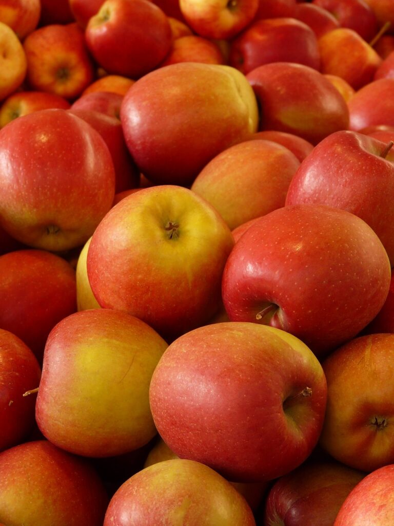 apples, fruit, food-5880.jpg